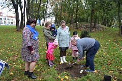 14 октября в День матери по инициативе Брестской областной организации ОО «Белорусский союз женщин» в Городском саду города Бреста была высажена аллея магнолий.